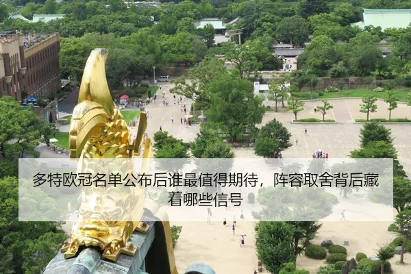 duo-te-ou-guan-ming-dan-gong-bu-hou-shui-zui-zhi-de-qi-dai-zhen-rong-qu-she-bei-hou-cang-zhe-na-xie-xin-hao-2-554.jpg