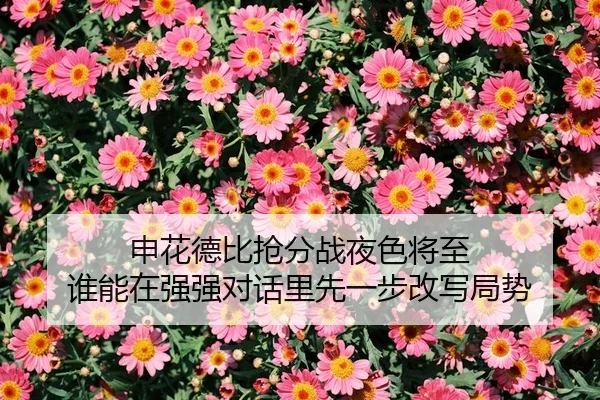 shen-hua-de-bi-qiang-fen-zhan-ye-se-jiang-zhi-shui-neng-zai-qiang-qiang-dui-hua-li-xian-yi-bu-gai-xie-ju-shi-2-382.jpg